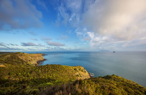 Beautiful Sunset Ocean Beach New Zealand Inspiring Natural Travel Background — Stock Photo, Image