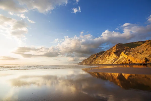 Ocean Beach Yeni Zelanda Güzel Bir Gün Batımı Lham Verici — Stok fotoğraf