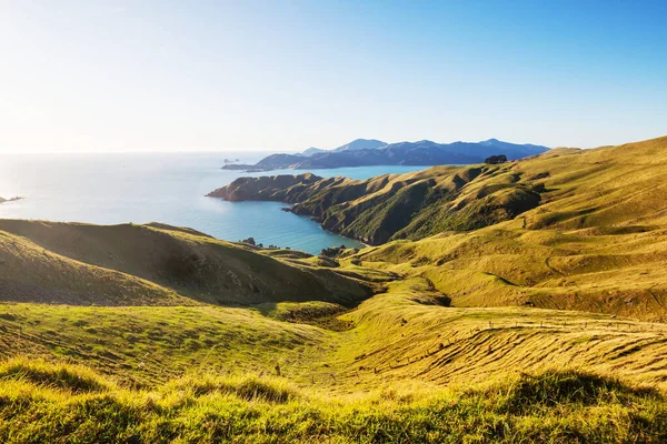 美丽的日落在新西兰的海滩上 激发自然和旅行背景 — 图库照片
