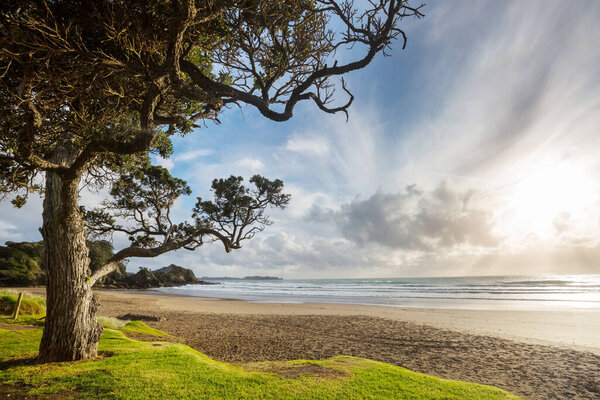 Beautiful Sunset at the Ocean Beach, New Zealand. Inspiring natural and travel background