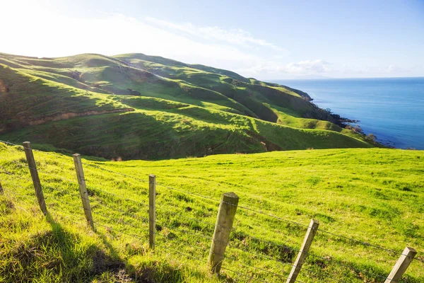 Piękny Krajobraz Wiejski Nowej Zelandii Zielone Wzgórza Drzewa — Zdjęcie stockowe