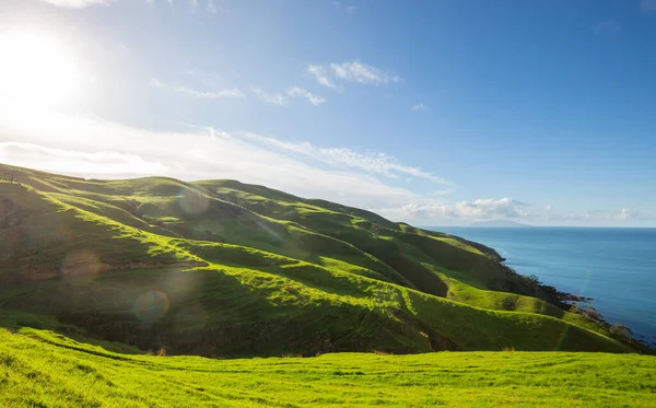 Όμορφο Αγροτικό Τοπίο Της Νέας Ζηλανδίας Καταπράσινους Λόφους Και Δέντρα — Φωτογραφία Αρχείου