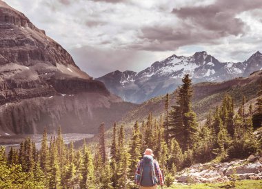 Kanada dağlarında yürüyüş yapan adam. Yürüyüş, Kuzey Amerika 'da popüler bir eğlence aktivitesidir. Bir sürü pitoresk yol var..
