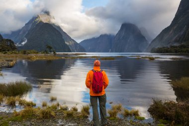 Milford Sound, Fiordland Ulusal Parkı, Yeni Zelanda 'da inanılmaz doğal manzaralar.