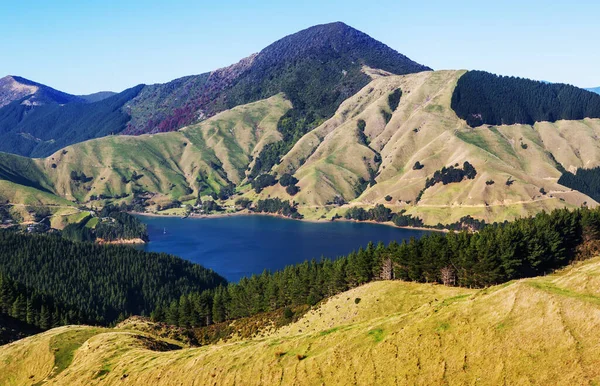 Yeni Zelanda Nın Güzel Kırsal Manzarası Yeşil Tepeler Ağaçlar — Stok fotoğraf