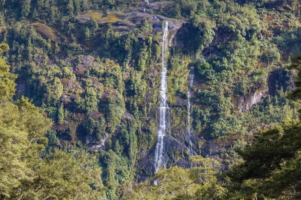 Vackert Vattenfall Grön Regnskog Nya Zeeland — Stockfoto
