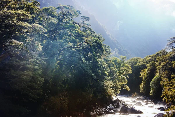 Río Nueva Zelanda Valle Hermosos Paisajes Montañas — Foto de Stock