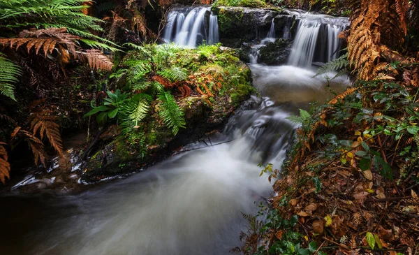 Piękny Wodospad Zielonym Lesie Deszczowym Nowa Zelandia — Zdjęcie stockowe