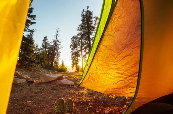 Modernes Touristenzelt Hängt Zwischen Bäumen Grünen Wald — Stockfoto