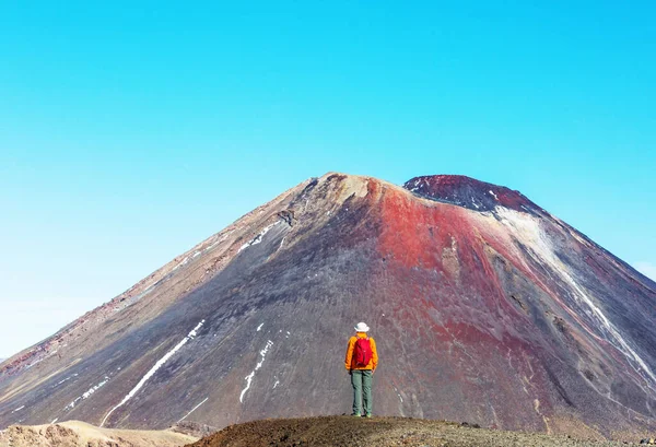 Seorang Pria Berjalan Jalur Pendakian Dengan Taman Nasional Mount Cook — Stok Foto