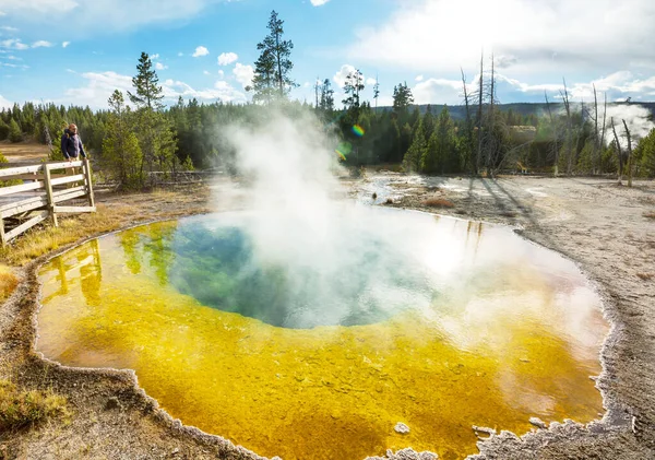 Colorful Morning Glory Pool Famous Hot Spring Yellowstone National Park — Stock Photo, Image