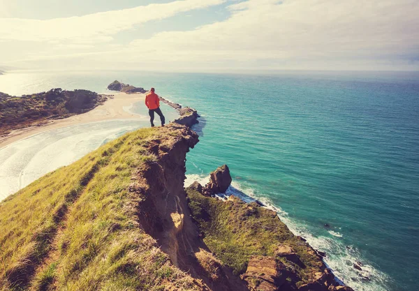 Ocean Beach Yeni Zelanda Güzel Bir Gün Batımı Lham Verici — Stok fotoğraf