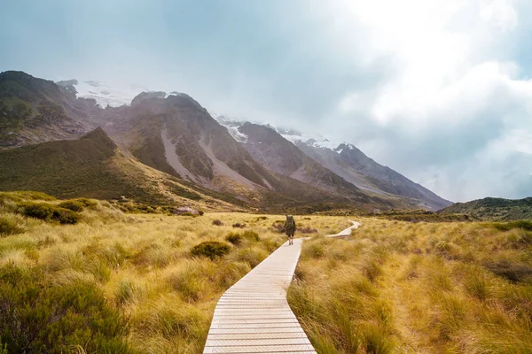 Prachtige Natuurlijke Landschappen Mount Cook National Park South Island Nieuw — Stockfoto