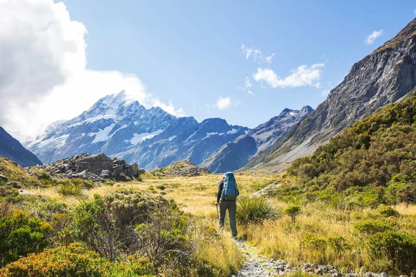 Όμορφα Φυσικά Τοπία Στο Mount Cook National Park South Island — Φωτογραφία Αρχείου