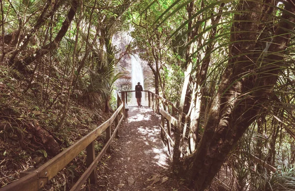 Όμορφο Καταρράκτη Στο Καταπράσινο Τροπικό Δάσος Νέα Ζηλανδία — Φωτογραφία Αρχείου