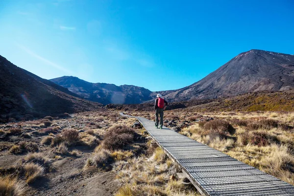 Tongariro Kavşağı Ndaki Muhteşem Zümrüt Gölleri Tongariro Ulusal Parkı Yeni — Stok fotoğraf