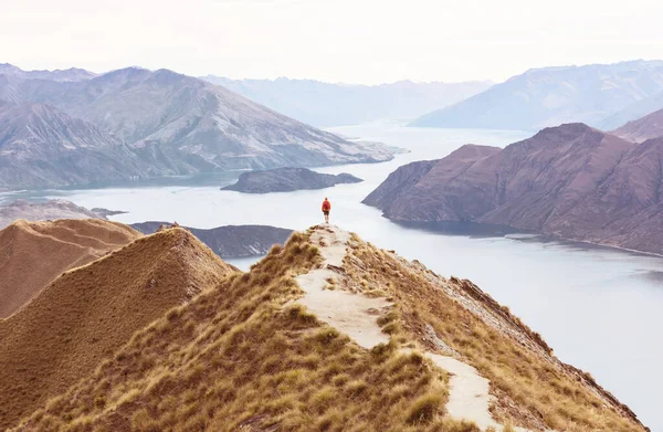 Resenär Vandring Roys Peak Nya Zeeland Wanakasjön — Stockfoto
