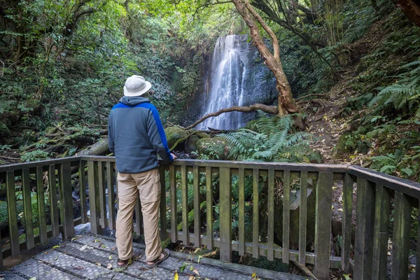 Schöner Wasserfall Grünen Regenwald Neuseeland — Stockfoto