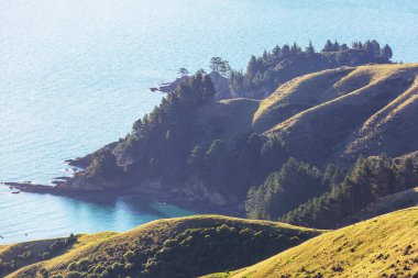 Ocean Beach, Yeni Zelanda 'da güzel bir gün batımı. İlham verici doğal ve seyahat geçmişi