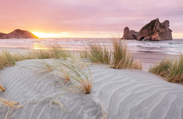 新西兰太平洋海滩的沙丘 — 图库照片