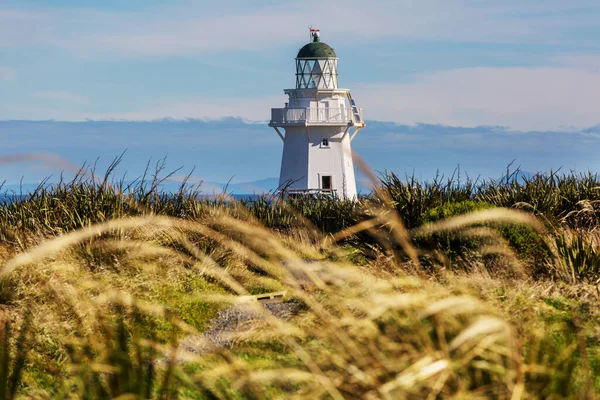 Pasifik Kıyısındaki Deniz Feneri Yeni Zelanda — Stok fotoğraf