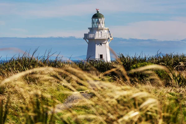 Phare Dans Côte Pacifique Nouvelle Zélande — Photo