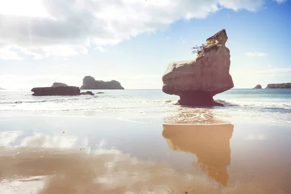 Hermoso Atardecer Ocean Beach Nueva Zelanda Inspirando Fondo Natural Viaje — Foto de Stock