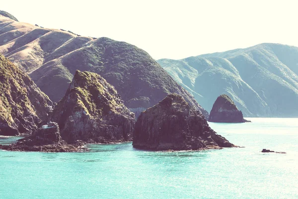 Ocean Beach Yeni Zelanda Güzel Bir Gün Batımı Lham Verici — Stok fotoğraf