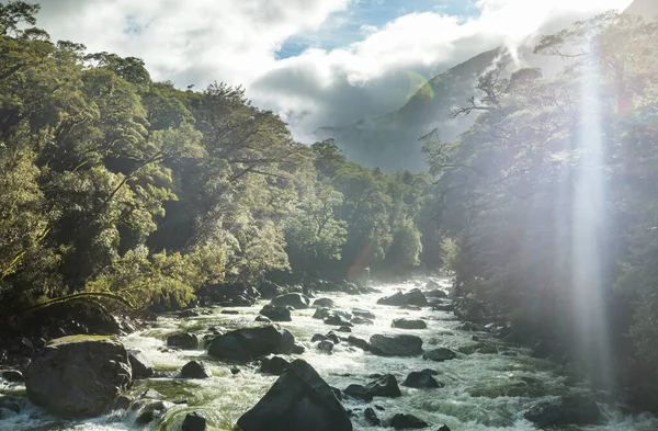纽西兰河在山谷中 山水秀丽 — 图库照片