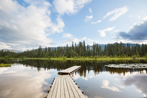 Lago Verde Estivo Nella Foresta — Foto Stock