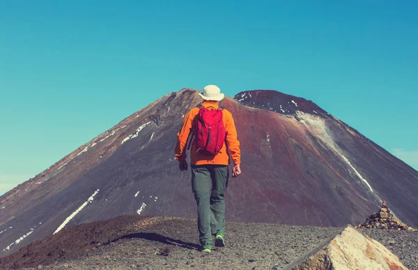 Man Wandert Auf Wanderweg Route Mit Mount Cook National Park — Stockfoto
