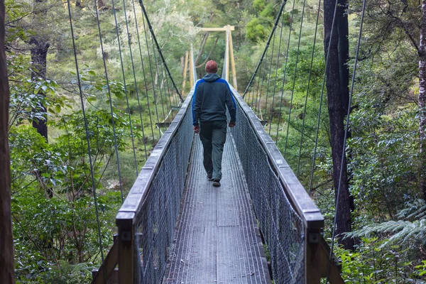 Wandern Und Trampeln Neuseeland Reise Und Abenteuerkonzept — Stockfoto