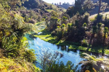 Yeni Zelanda 'daki Mavi Havuz. Hokitika yakınlarındaki temiz mavi nehir. Güzel doğal manzaralar..