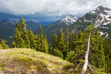 North Cascade Range, Washington / ABD 'de güzel bir dağ zirvesi.