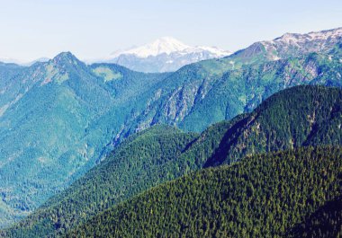 North Cascade Range, Washington / ABD 'de güzel bir dağ zirvesi.