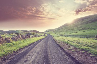 Çayırdaki çiftlik yolu.
