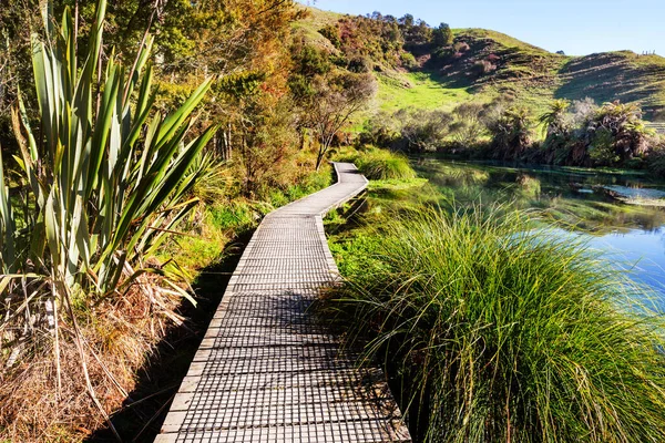 Paseo Marítimo Lago Bosque Tropical Nueva Zelanda — Foto de Stock