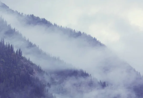 Piękna Poranna Scena Górach Mgła Wschodzie Słońca — Zdjęcie stockowe