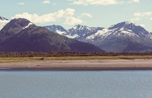 Picturesque Mountains Alaska Summer Snow Covered Massifs Glaciers Rocky Peaks — Stock Photo, Image