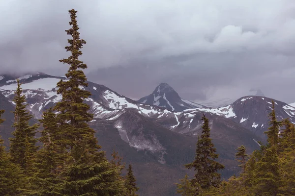 여름철에는 캐나다 산맥에서 피추레스 내려다 — 스톡 사진
