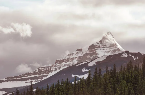 여름철에는 캐나다 산맥에서 피추레스 내려다 — 스톡 사진