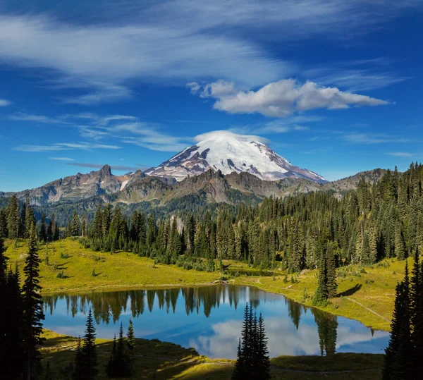 Εθνικό Πάρκο Mount Rainier Ουάσιγκτον — Φωτογραφία Αρχείου