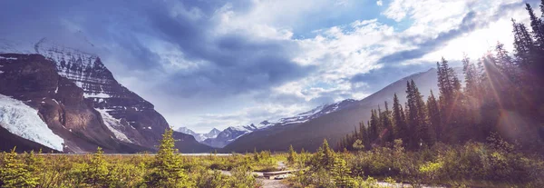 Piękna Góra Robson Sezonie Letnim Kanada — Zdjęcie stockowe