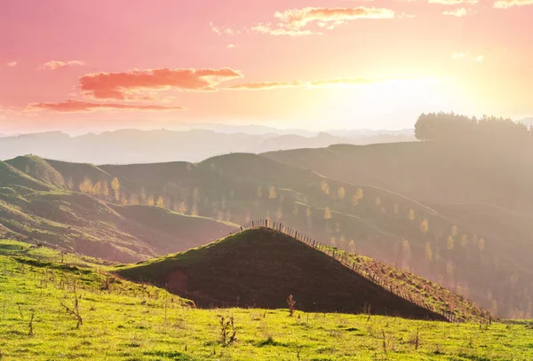 Prachtig Landelijk Landschap Van Nieuw Zeeland Groene Heuvels Bomen — Stockfoto