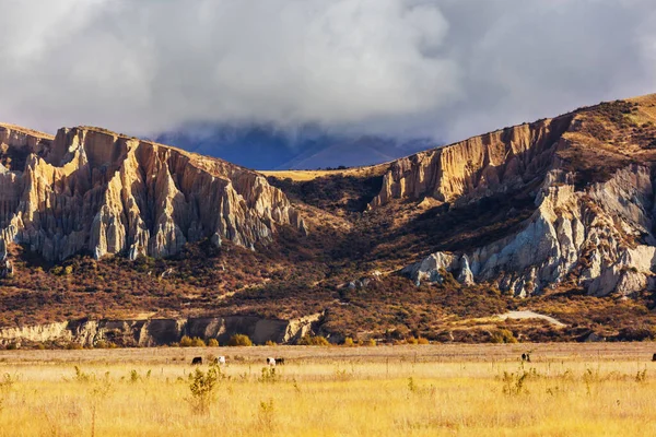 Schöne Ländliche Landschaft Neuseelands Grüne Hügel Und Bäume — Stockfoto