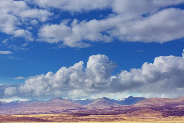 Beaux Paysages Naturels Dans Parc National Mont Cook Île Sud — Photo