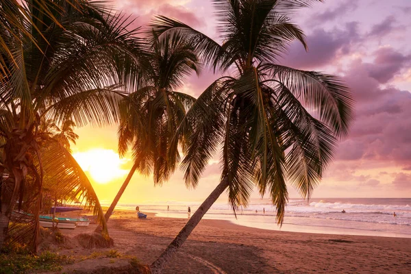 Gelassenheit Tropischen Strand — Stockfoto