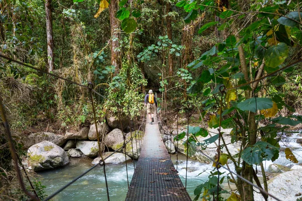 Hängebrücke Grünen Dschungel Costa Rica Mittelamerika — Stockfoto