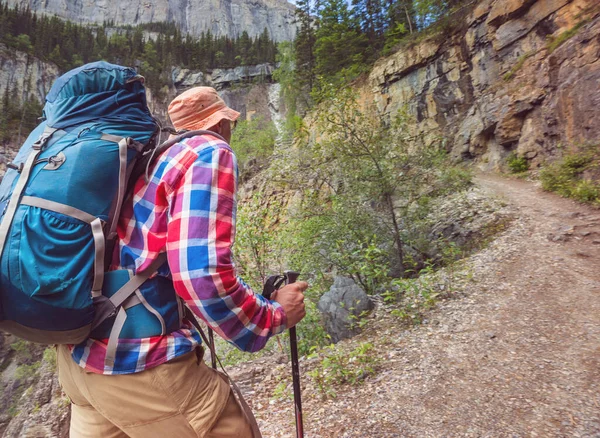 Turista Kanadských Horách Turistika Populární Rekreační Aktivita Severní Americe Spousta — Stock fotografie