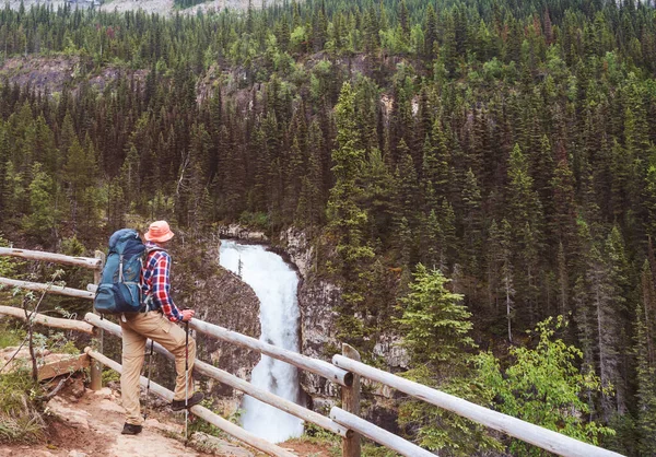 Caminhando Homem Nas Montanhas Canadenses Caminhada Atividade Recreação Popular América — Fotografia de Stock